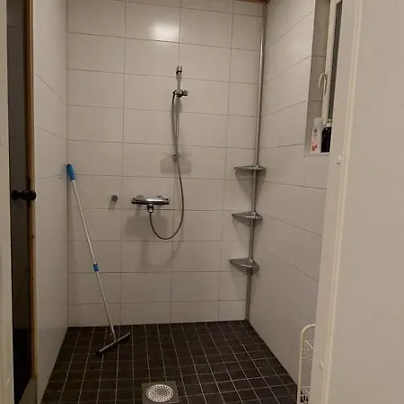 Hiekkasaerkillae * Kalajoki