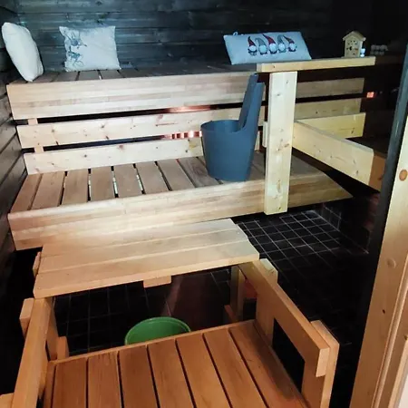 Hiekkasaerkillae